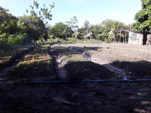 Sítio no Iguaiba - Foto 3