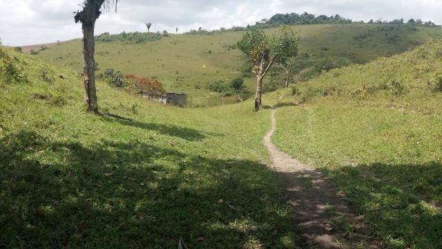 Gravatá=Vend. 300 mil- 24 Hect. Água,Energia,Pastos e muito mais - Foto 14