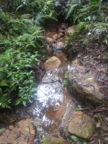 Vendo sítio em agudos do sul - Foto 15