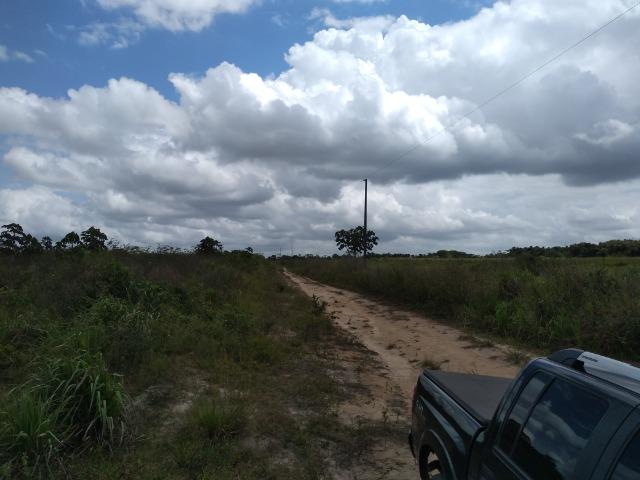 No Pará,175 hectares ha região de Castanhal-Pará por 1.400.000,00 documentada - Foto 3