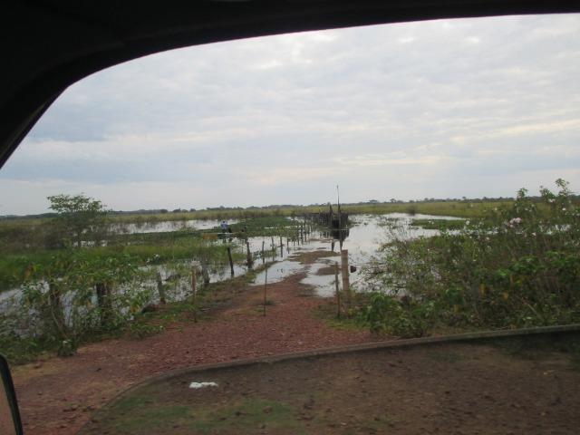 Fazenda na regiao de corumba, para arrendamento - Foto 11