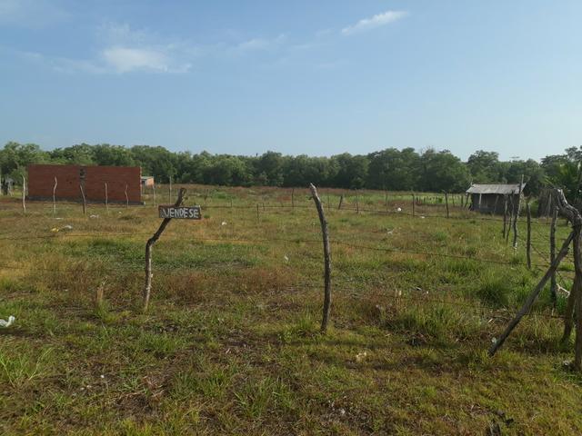 Terreno - Foto 2
