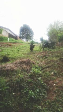 Chácara / Terreno, São José dos Pinhais quase na cidade a 20 minutos de Curitiba 295.000 - Foto 14