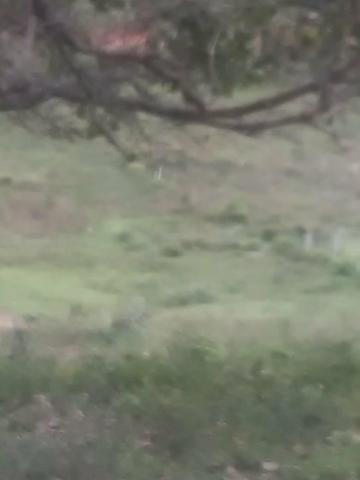 Vendo fazenda em Gandu BA - Foto 3