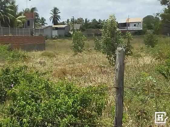 Terreno à venda - mosqueiro (zona de expansão) - Foto 5