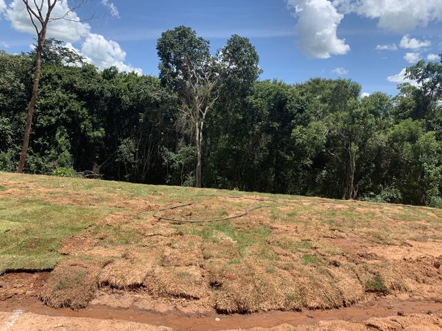 Chácara entre Planalmira e Abadiania - Foto 8