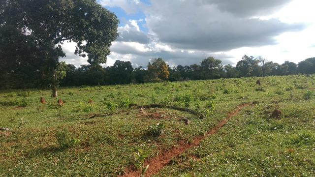 CHÁCARA JARAGUARI MS 36,4 ha