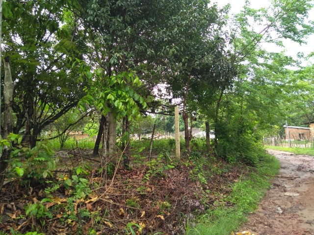 Terreno no pindaí  15 X 28 -próximo portal do paço, poste vermelho e ubs do pindai
