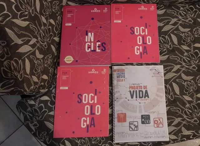 Livro do 2 ano/EM Eleva zerados - Foto 4