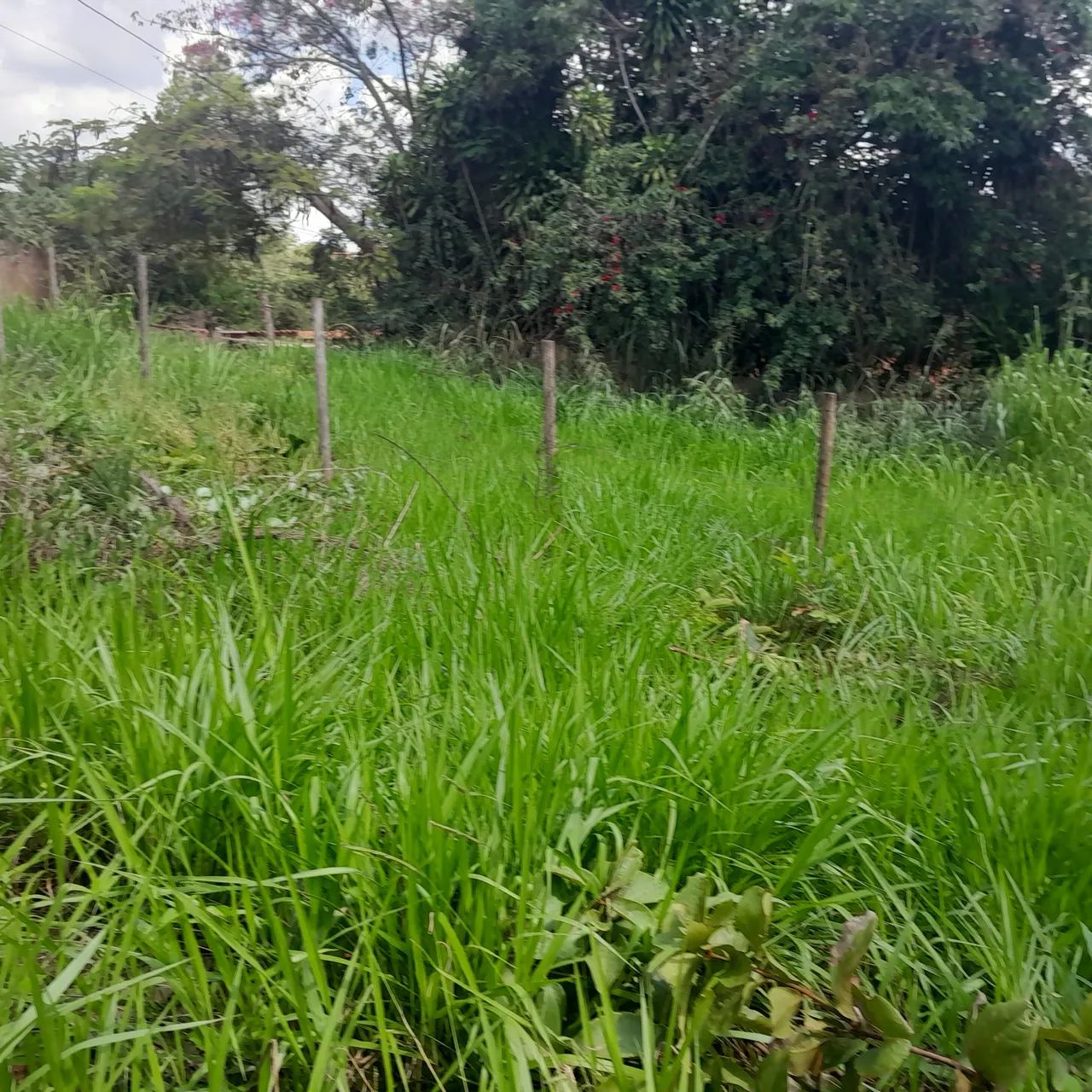 Lotes no bairro jardim serra azul  - Foto 3