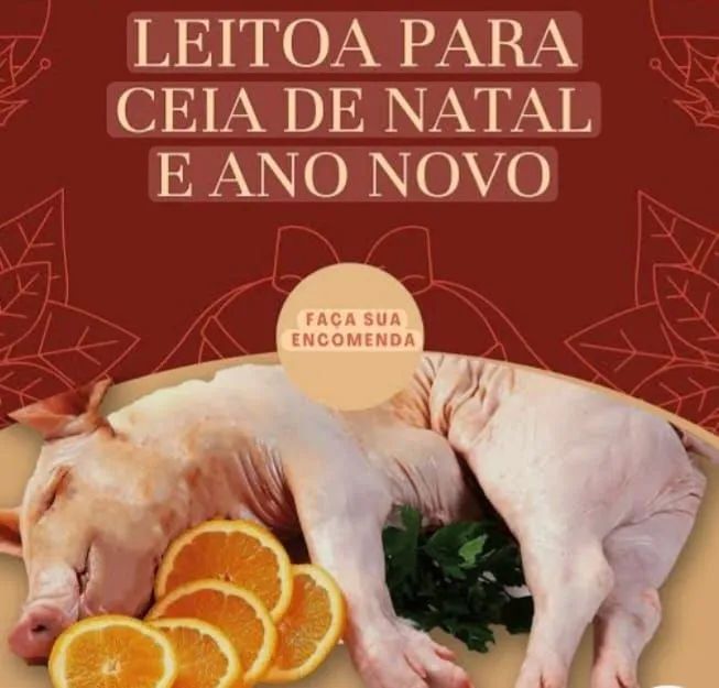 Leitoa para ceia de Natal e Ano Novo *