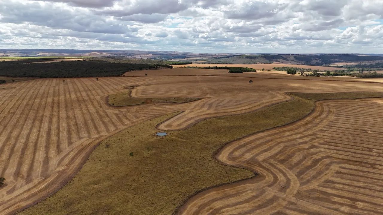 Fazenda de 250  Alqueries    - Foto 3