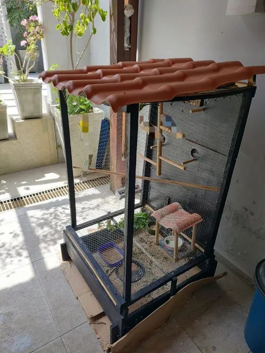 Viveiro CARUARU PE - Foto 4