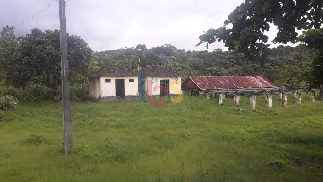 Vendo Sitio com 32 Hectares - Foto 3