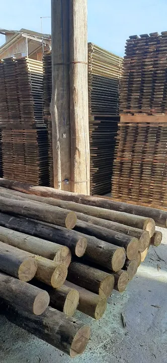Madeira tratada Pinus ou Eucalipto