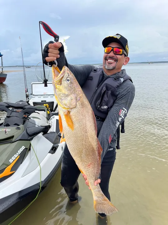 Jet Ski Sea-Doo fish pro 2019, 211 horas