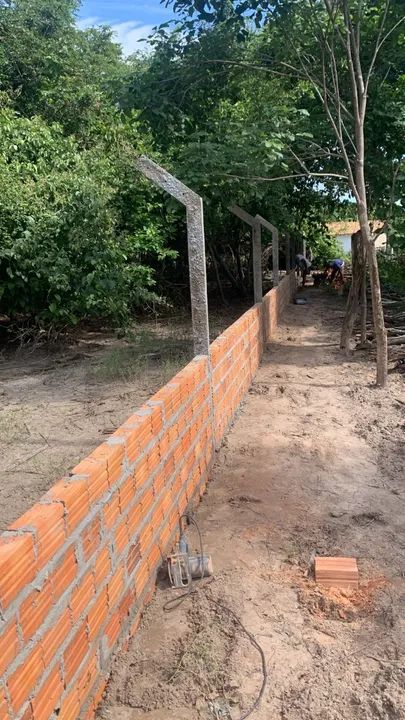Terreno murado - povoado Manga Maranhão - Foto 2