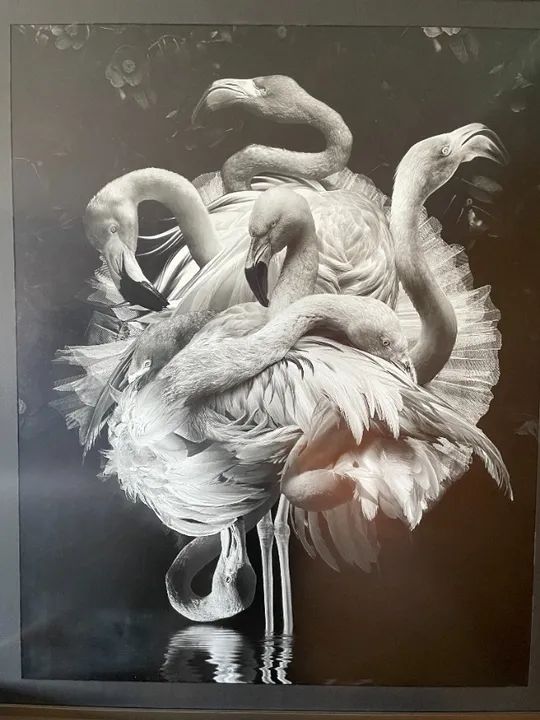 Flamengo - Marcel Van Luit - 80x100cm - Foto 4