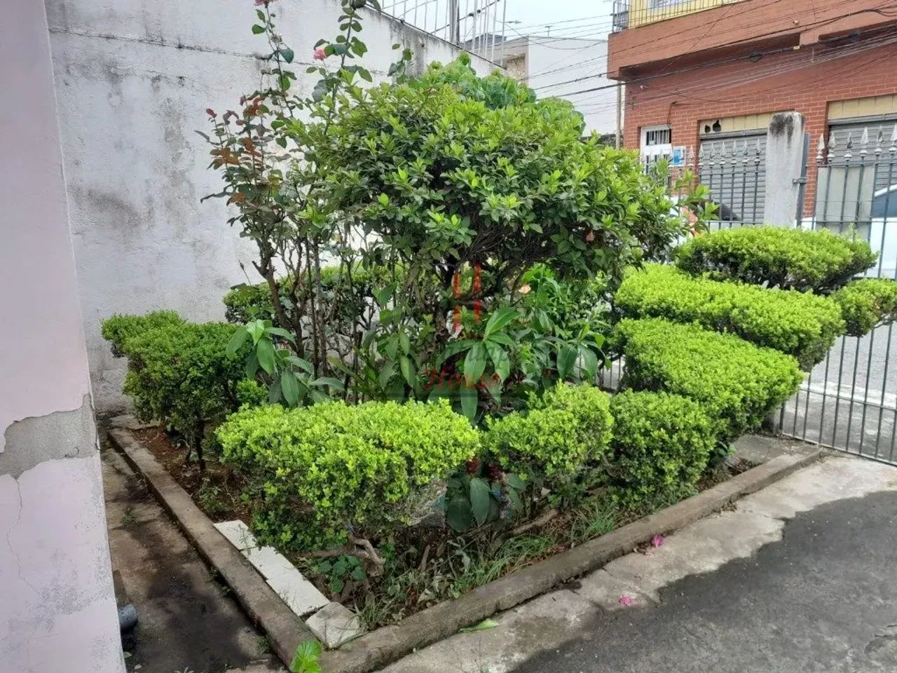 Casa em Vila Antonieta
