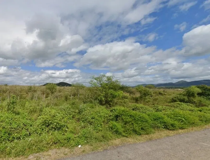 Imóvel Rural, 1.159.200m², Barro Branco, Canapi/AL
