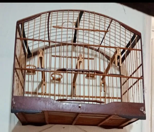 Gaiola de madeira para aves