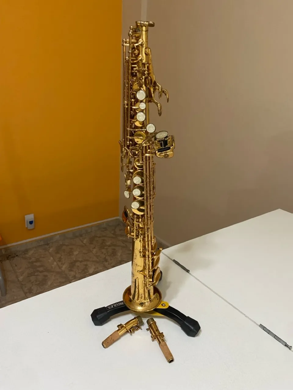 Soprano Reto Winner