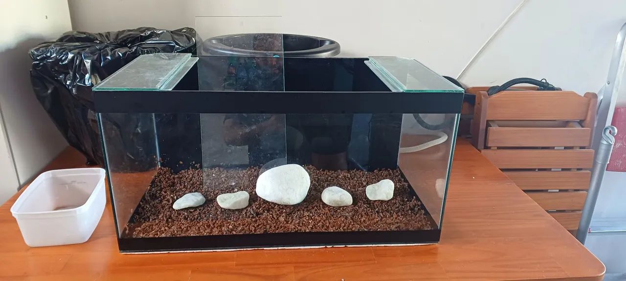 Aquário com Decoração