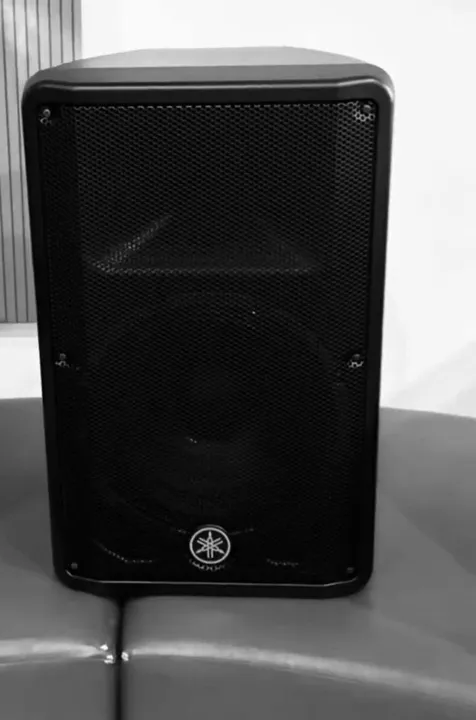 VENDO CAIXA YAMAHA DB15