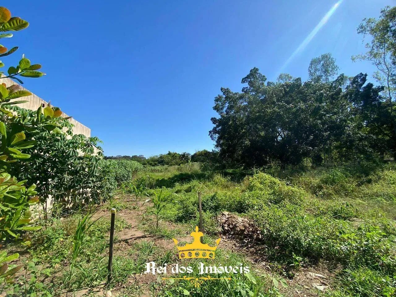 Lote - Rodovia do Peixe - Foto 2