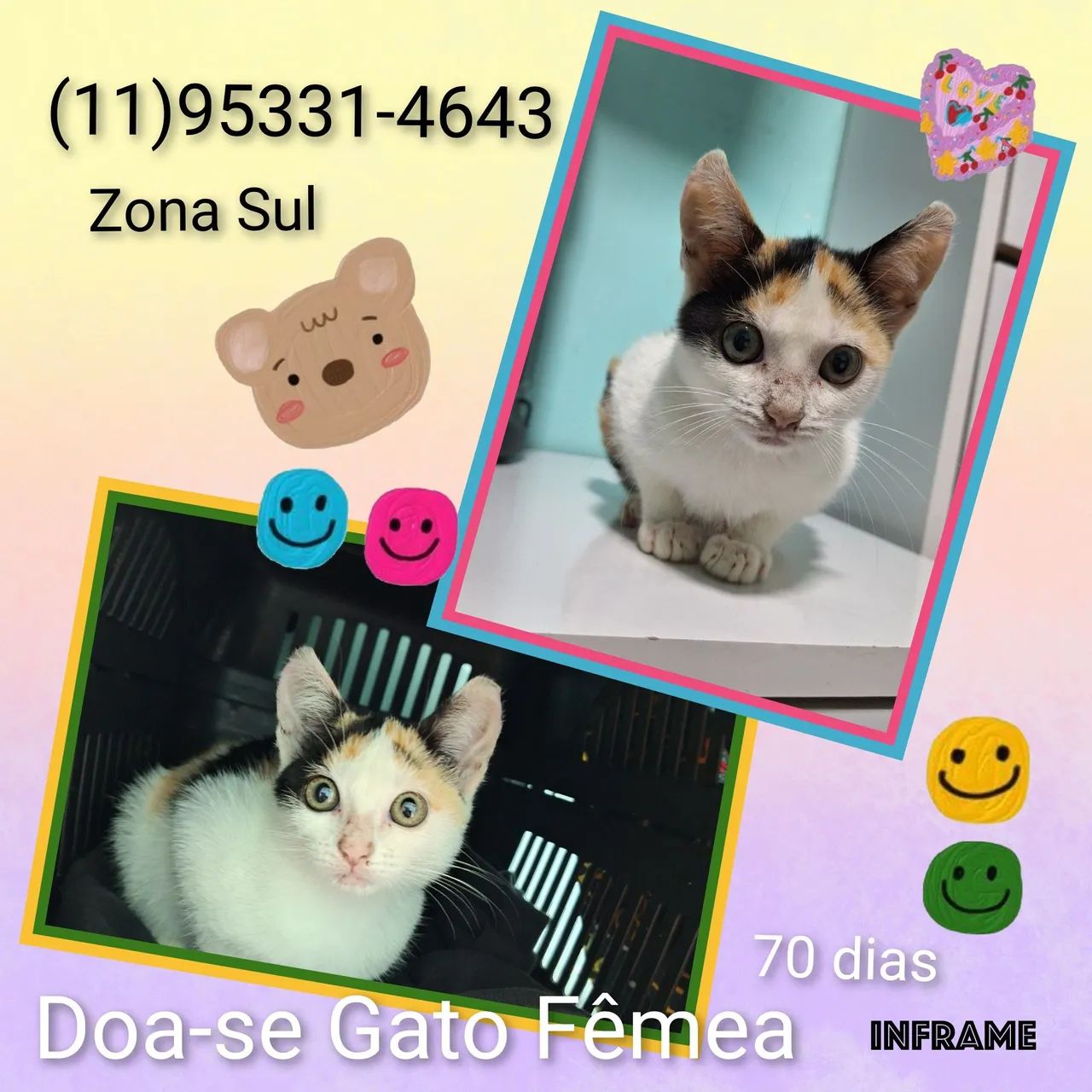 2 Gatinhas Fêmea com 2 Meses - Foto 2