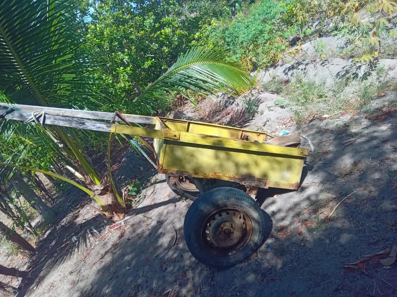 Cavalo e carroça - Foto 2