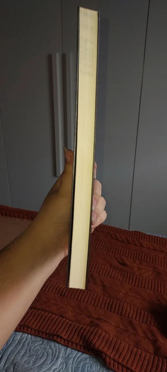 DESAPEGO - Livro Caixa de Pássaros (Josh Malerman)<br> - Foto 3
