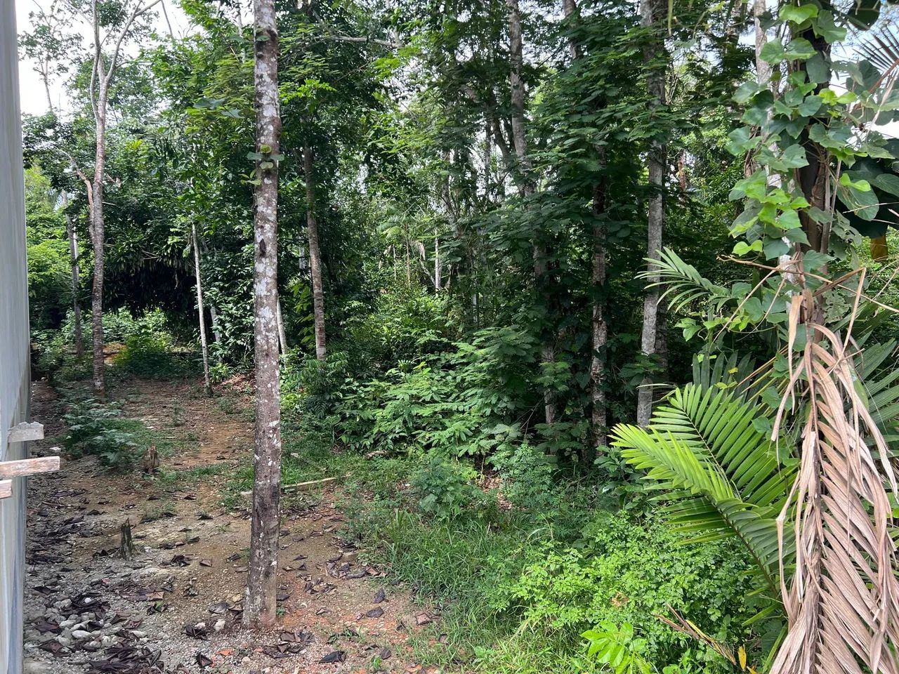 TERRENO 10 X 40 - TARUMÃ  - Foto 3