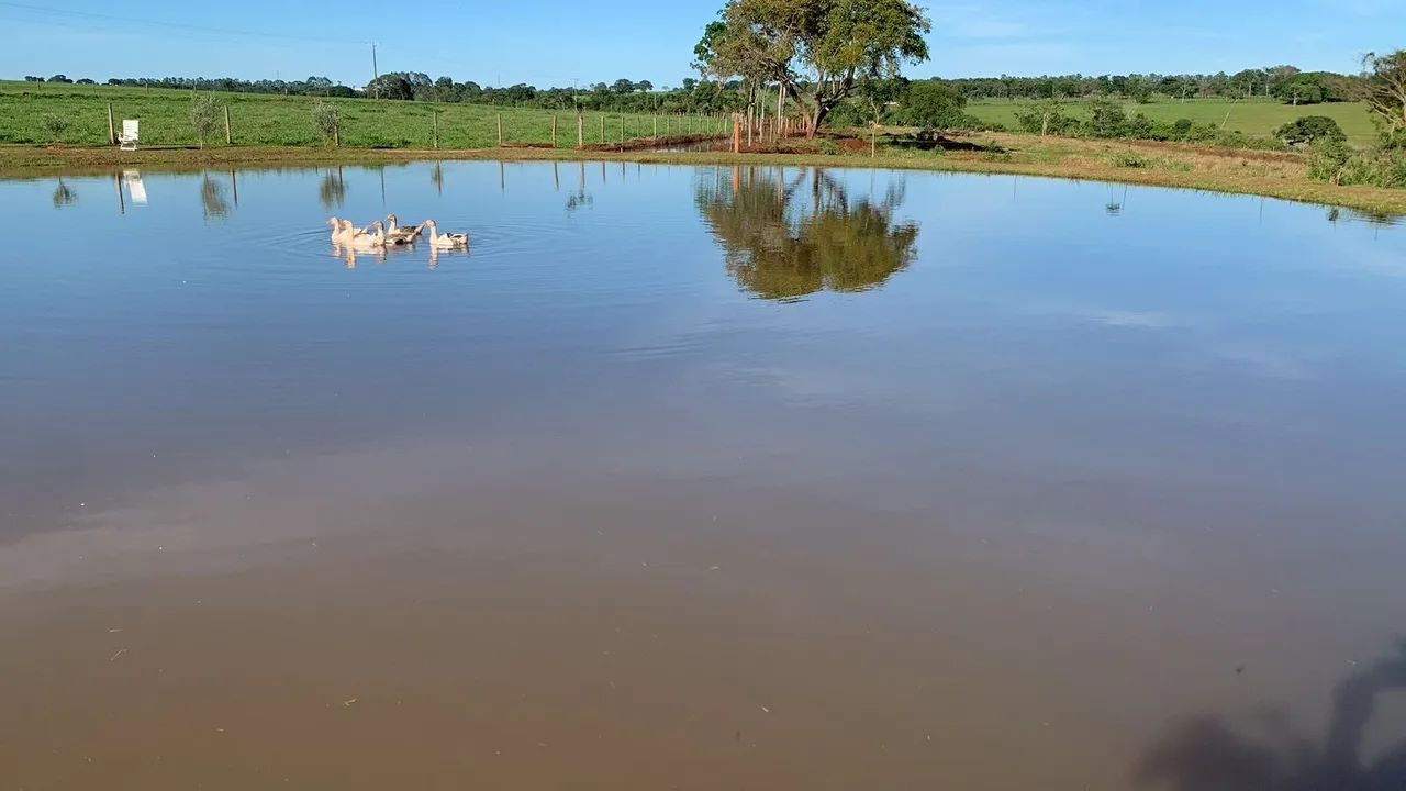 Fazenda de luxo em Uberlândia  - Foto 2
