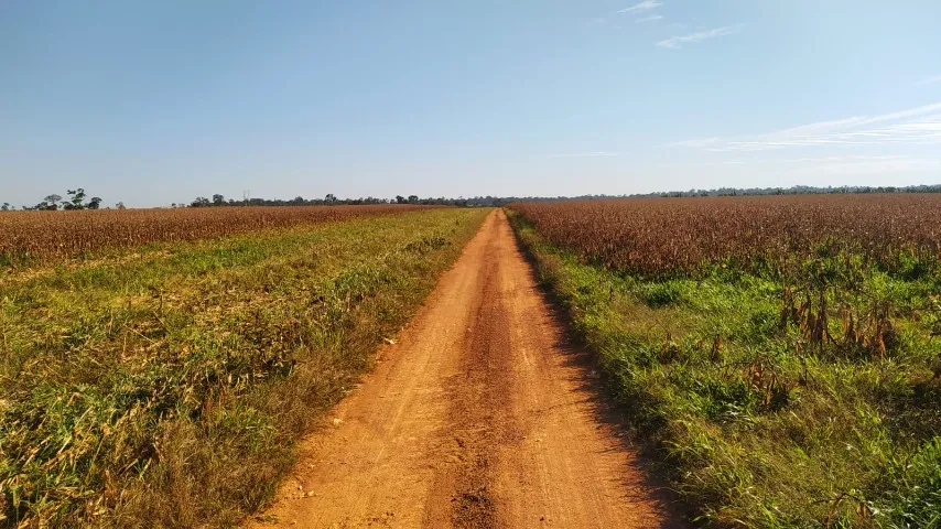 Fazenda, 598 Hectares