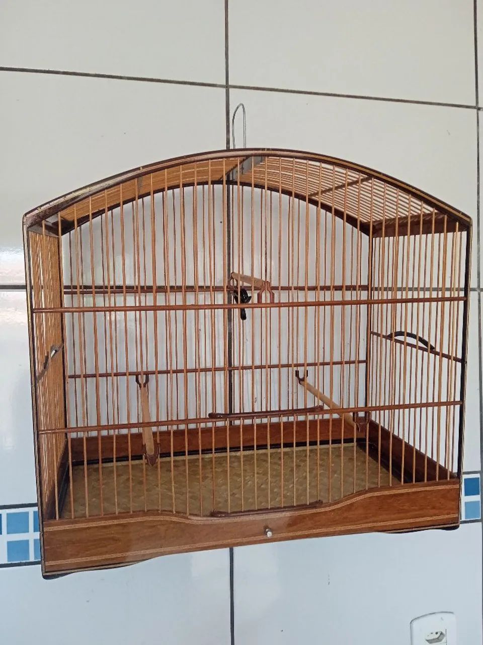 Rio Cage in Perfect Condition
