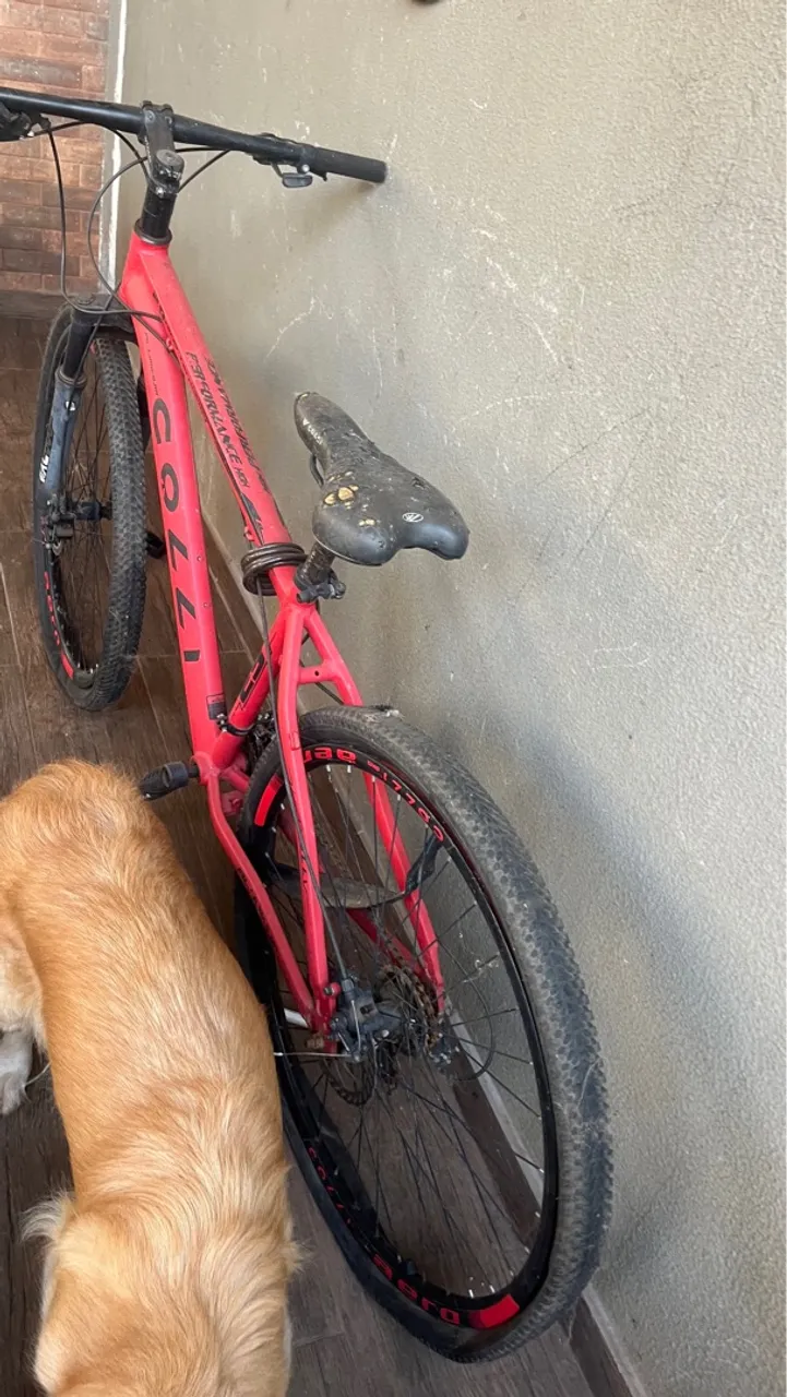 Bicicleta aro 29