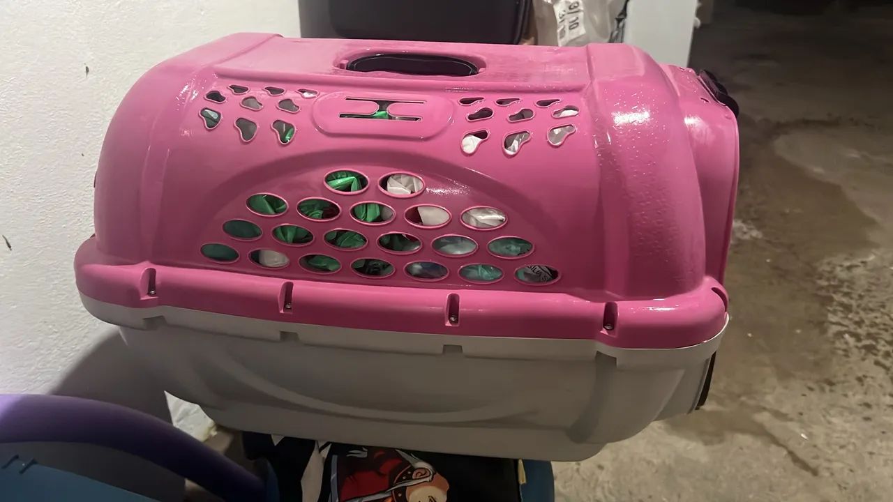 Caixa Transporte n04 - Foto 2