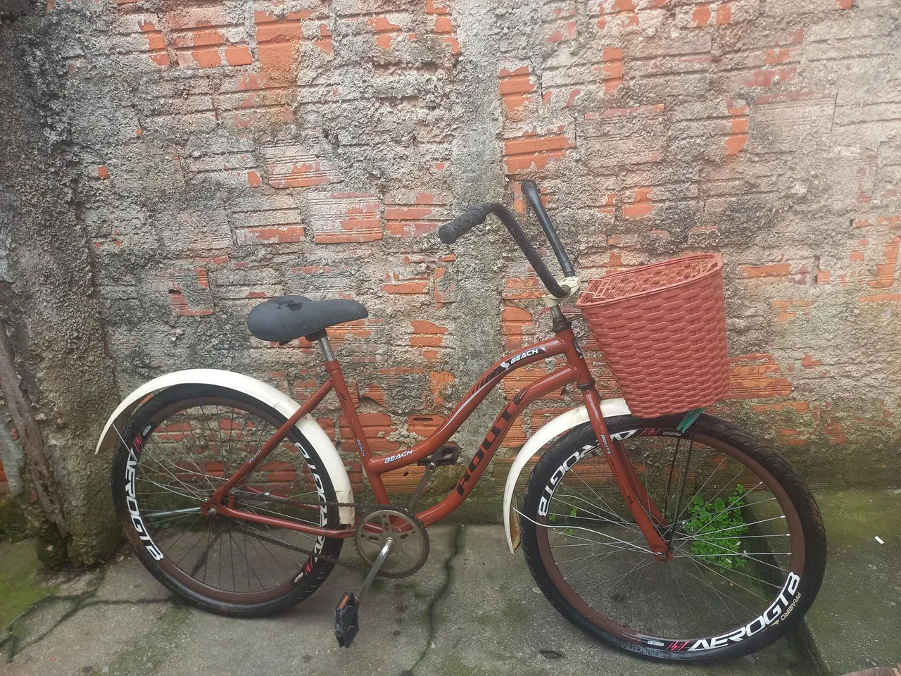 Bicicleta