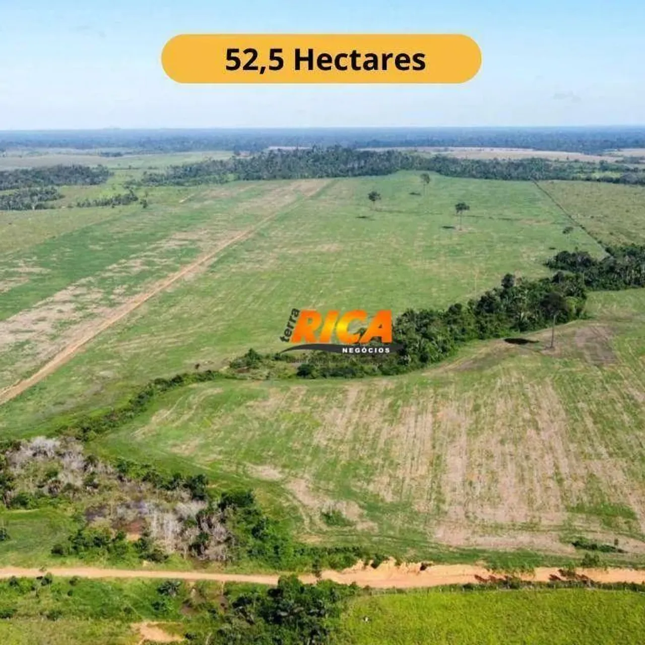 Vende-se excelente sítio com 52,5 hectares em Cujubim/Rondônia