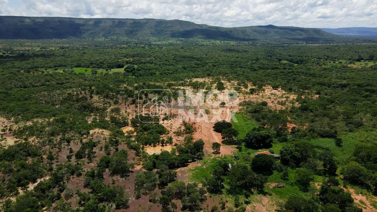 Fazenda Buritis 333,65 Ha Investimento Muita Água - Foto 8