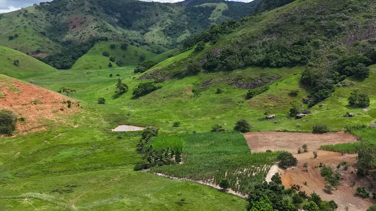 Oportunidade Única: Fazenda de Alta Produtividade agropecuária. - Foto 3