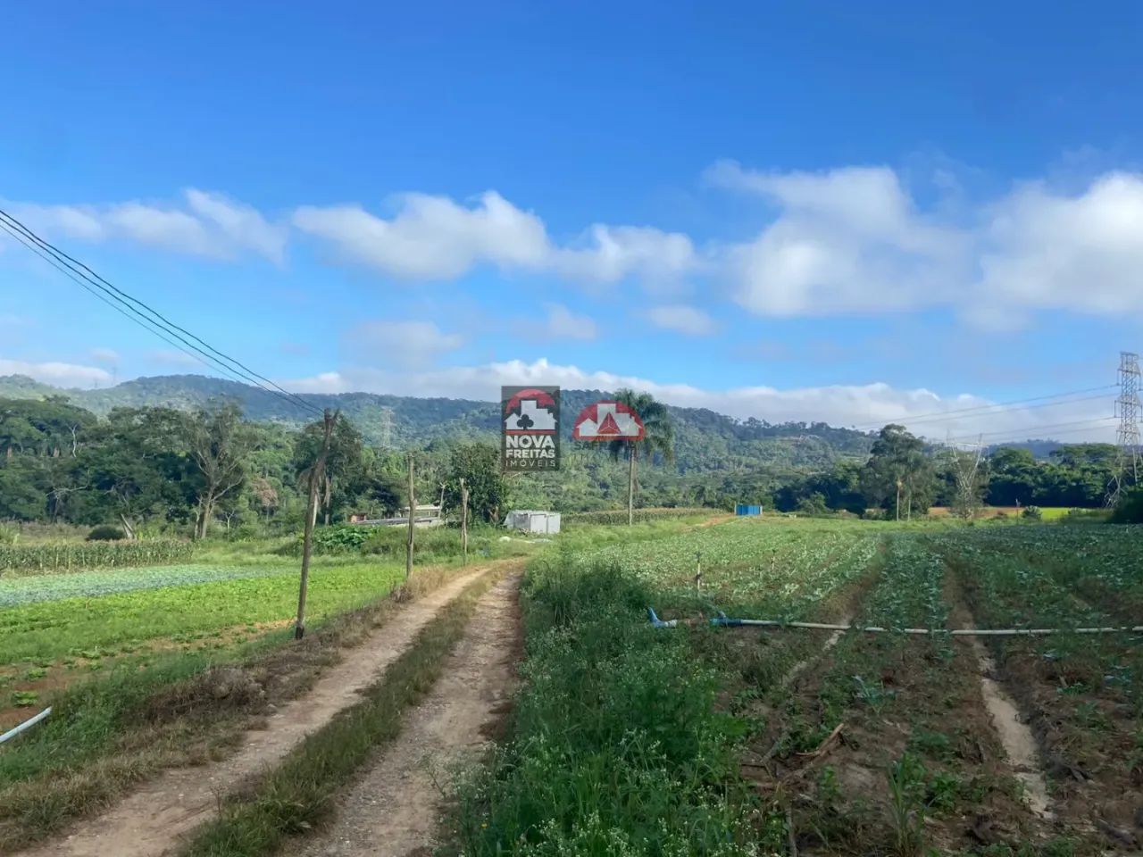 Terreno Padrão em Suzano - Foto 5