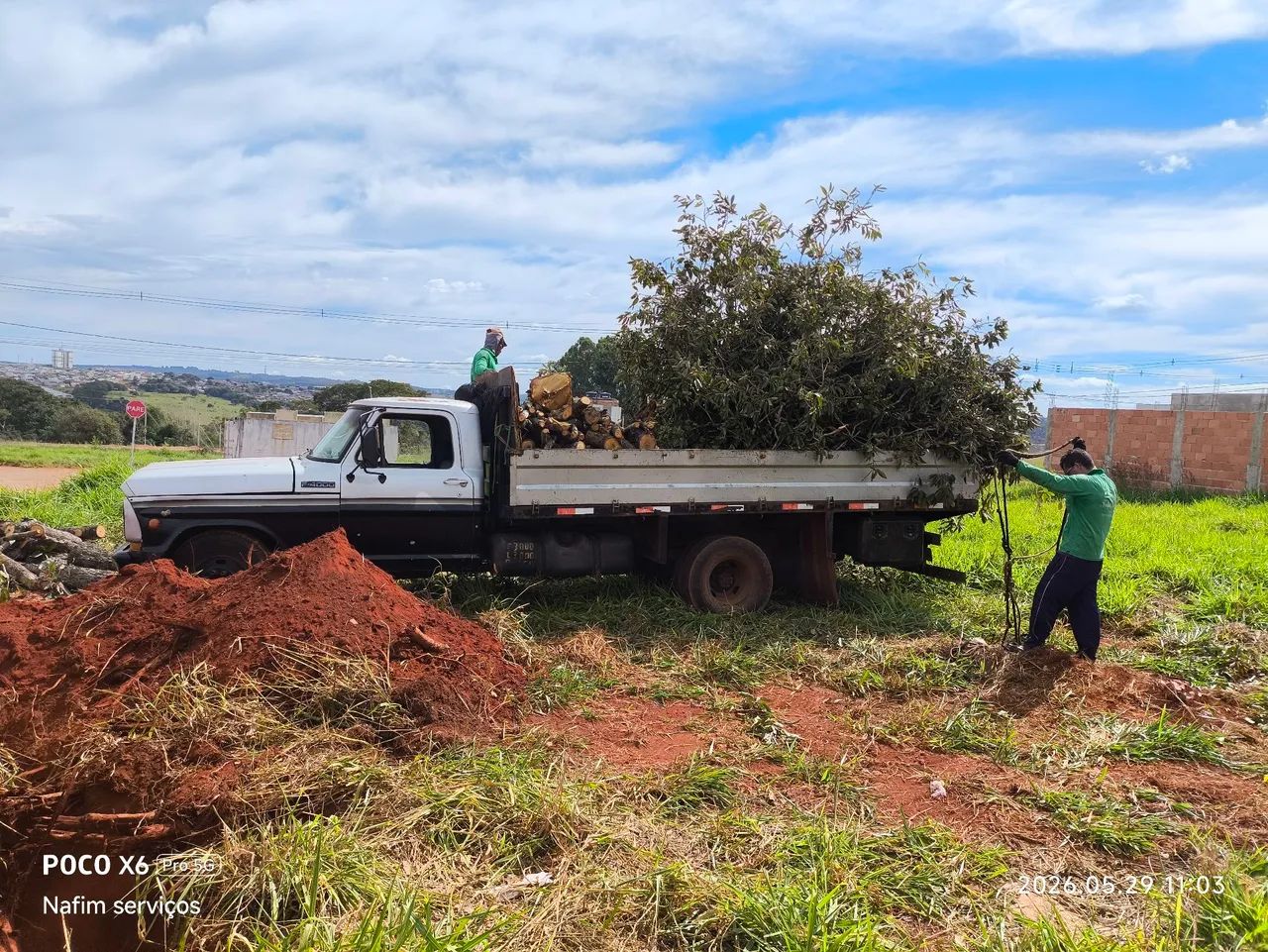 Jardinagem em geral, Locação  - Foto 3