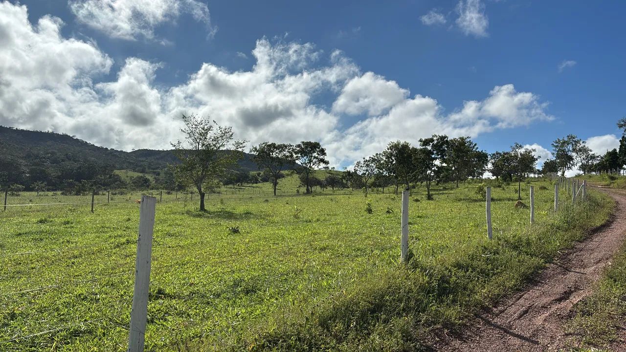 Vendo linda fazenda  - Foto 3