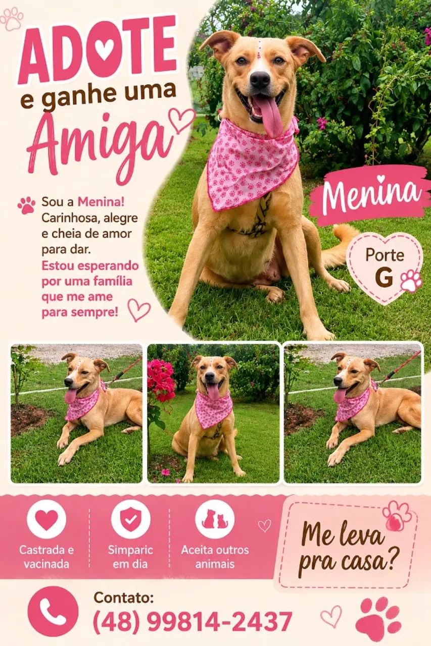  ADOÇÃO RESPONSÁVEL  - Foto 3