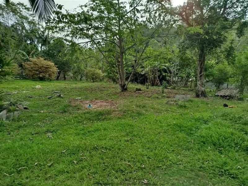 Chácaras para venda em Cajati no bairro Centro - Foto 4