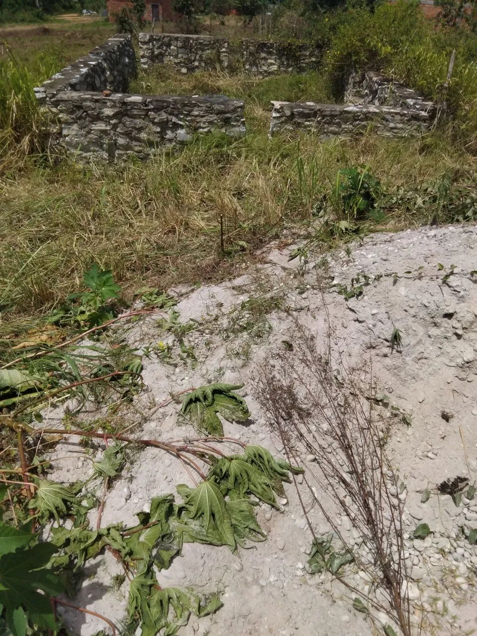 Vendo esse terreno  - Foto 4