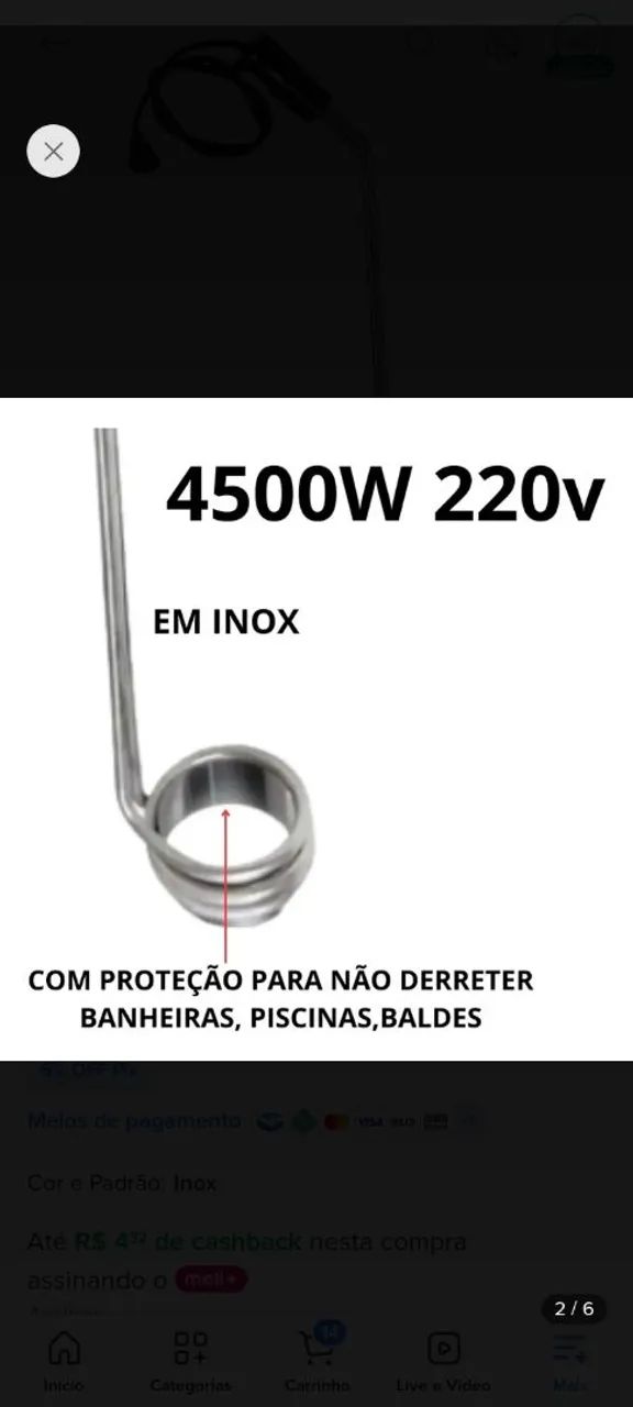ebolidor grande 4500W 220V 