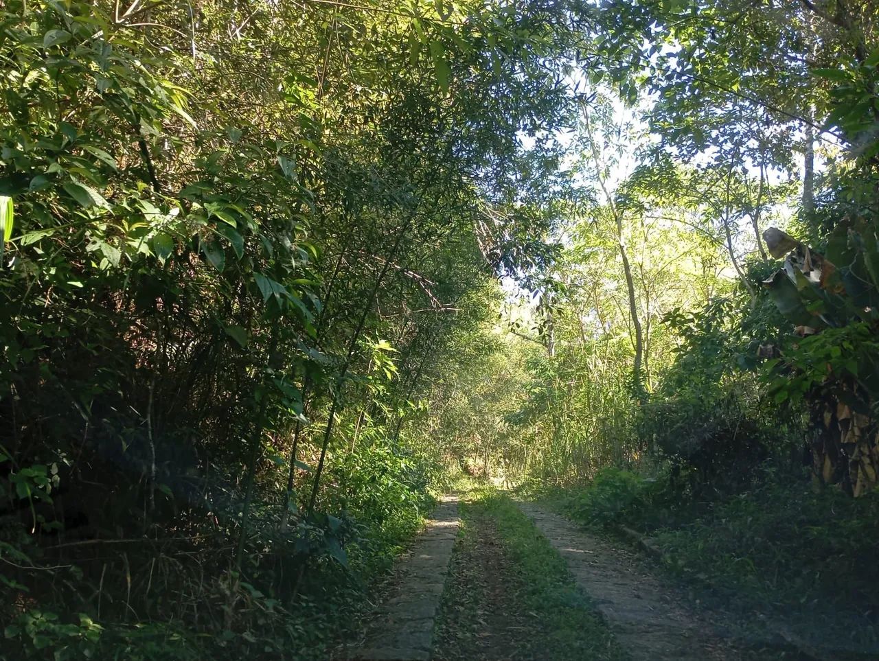 Vendo sitio em Petrópolis  - Foto 2